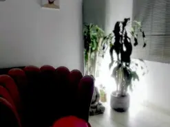 Amateur Watch Live Sex Cams of Missvaleriewts