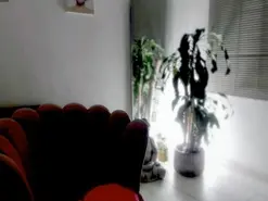 Amateur Watch Live Sex Cams of Missvaleriewts