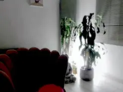 Amateur Adult Webcams of Missvaleriewts