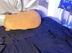 Amateur Live Sex of Dannybigcockxxx