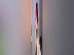 Amateur Live Sex Cam of HalleyCloud