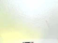 Amateur Adult Webcam of Ariel_star
