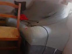 Amateur Free Live Porn of lalico