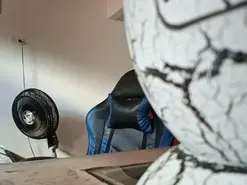Amateur Live Porn of bad_influencer