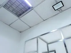 Amateur Best Webcam of ZoeSwam