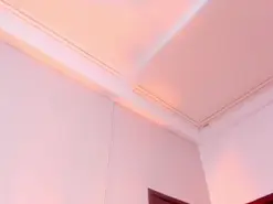 Amateur Live Sex Cam of AliceThomsopn