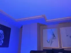 Amateur Private Sex Chat of BonnyRose