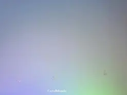 Amateur Sex Chat of carol_blonde