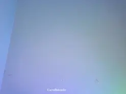 Amateur Free Porn Cam of carol_blonde