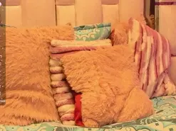 Amateur Watch Live Sex Cams of anisha_zambra