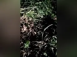 Amateur Live Sex Cam of Dileilei2