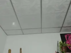 Amateur Free Live Porn of mariecam