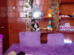 Amateur Sex Chat of MidoriQuinn