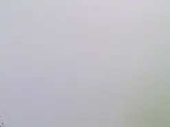 Amateur Best live sex cam show of sammara