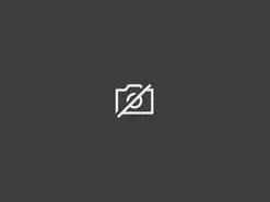 Amateur Watch Live Sex Cams of pollon33g