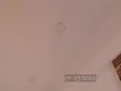 Amateur Best live sex cam show of Bell_art