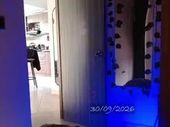 Amateur Sex Chat of Bell_art