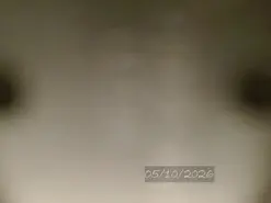 Amateur Free Live Porn of Bell_art