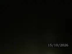 Amateur Watch Live Sex Cams of Bell_art