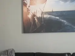 Amateur Free Live Porn of Mr_MS