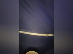 Amateur Free Porn Cam of salvacristi1