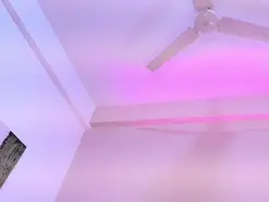 Amateur Sex Cam of JupiterFox