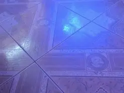 Amateur Nude Webcam of CamilaCarrero