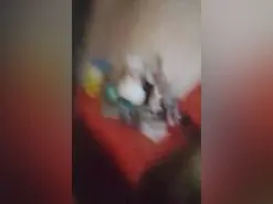 Amateur Private Sex Chat of chulito230