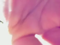 Amateur Sex Cam of hollymollyxxo
