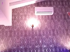 Amateur Sex Cam of AbellaFox