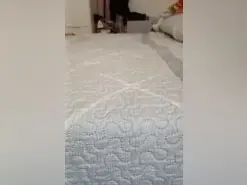 Amateur Live Sex Cam of Pareja3027