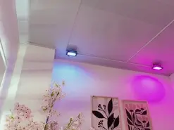 Amateur Watch Live Sex Cams of Leia_laurent