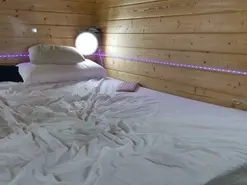 Amateur Private Sex Chat of wild41