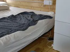 Amateur Sex Chat of wild41
