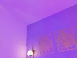 Amateur Free Live Porn of majo_rose
