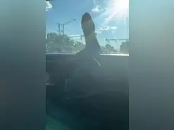 Amateur Adult Webcam of iceyy25