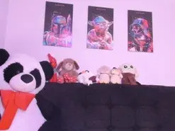 Amateur Live Sex of sextape_couple