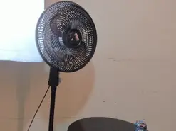 Amateur Live Sex Cam of Queenstarhyl