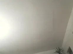 Amateur Live Sex Cam of Sweetdreamzz212