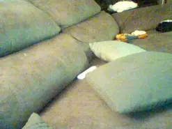 Amateur Best Webcam of TyeMorboparty