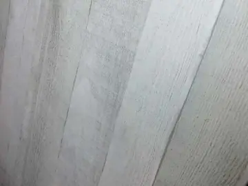 Bongacams Watch Live Sex Cams of Asiankitties