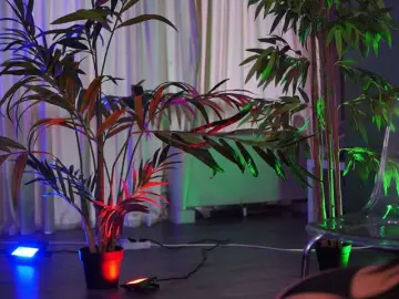 Bongacams Watch Live Sex Cams of OlyviaDelight
