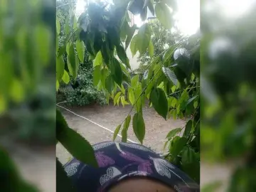 Bongacams Live Porn of Ogonek37