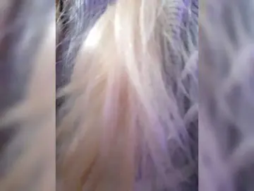 Bongacams Live Porn of LittleSammy