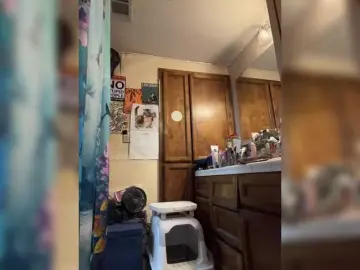 Bongacams Adult Video Chat of Prurient-Gem