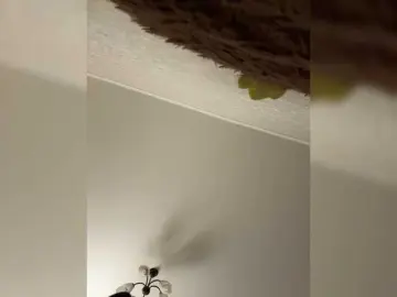 Bongacams Best live sex cam show of HellMor