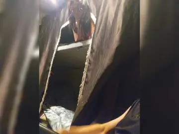Bongacams Free Live Porn of Paratrax