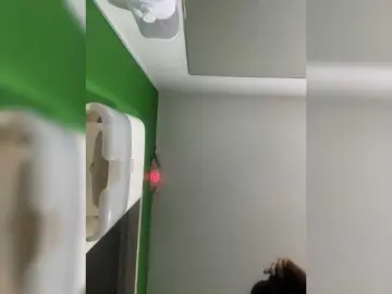 Bongacams Best Webcam of SallyeLeins