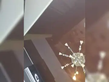 Bongacams Free Porn Cam of HairyCrotch