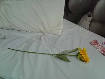 Bongacams Sex Chat of SpicyHailey88